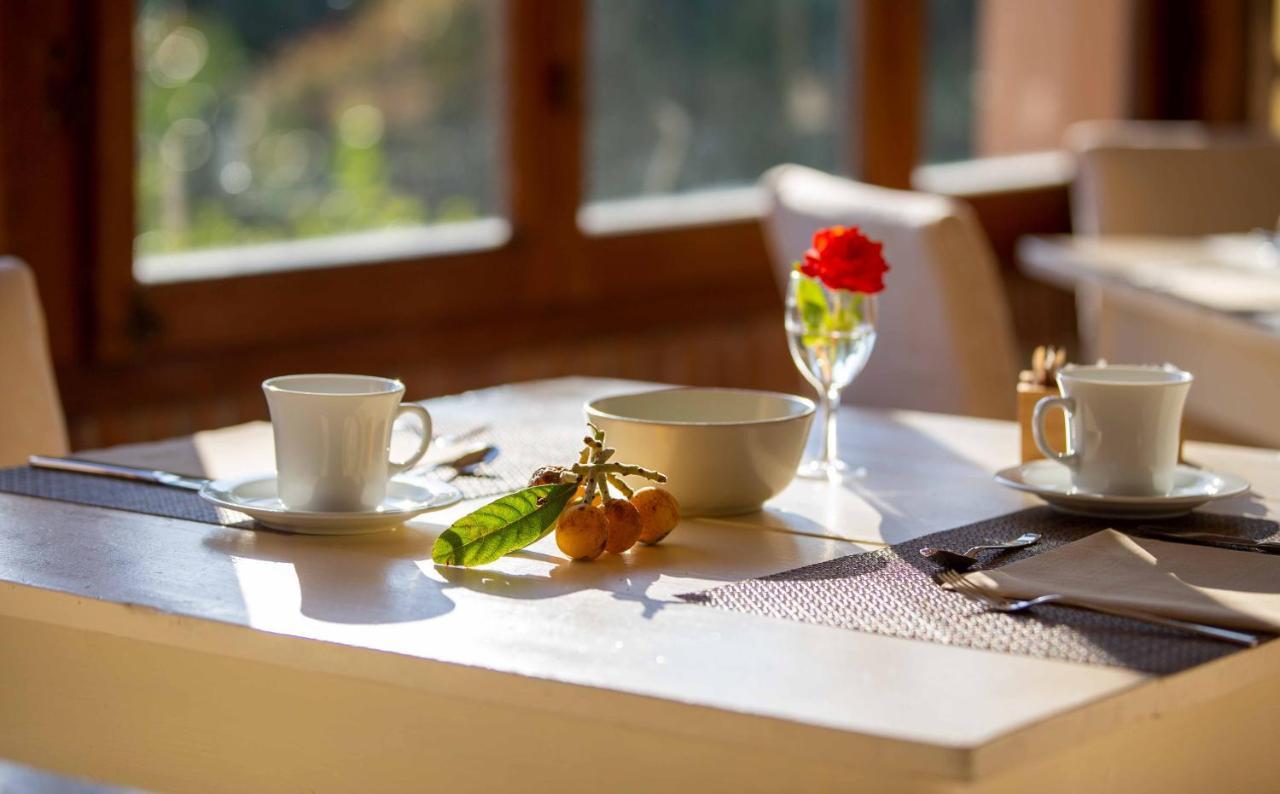 Hotel Cernia Isola Botanica SantʼAndrea 외부 사진