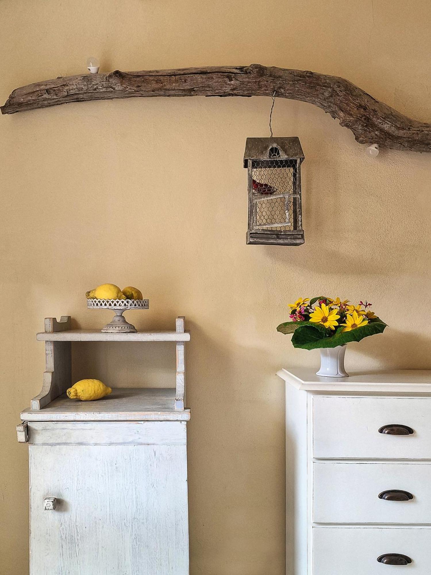 Hotel Cernia Isola Botanica SantʼAndrea 외부 사진