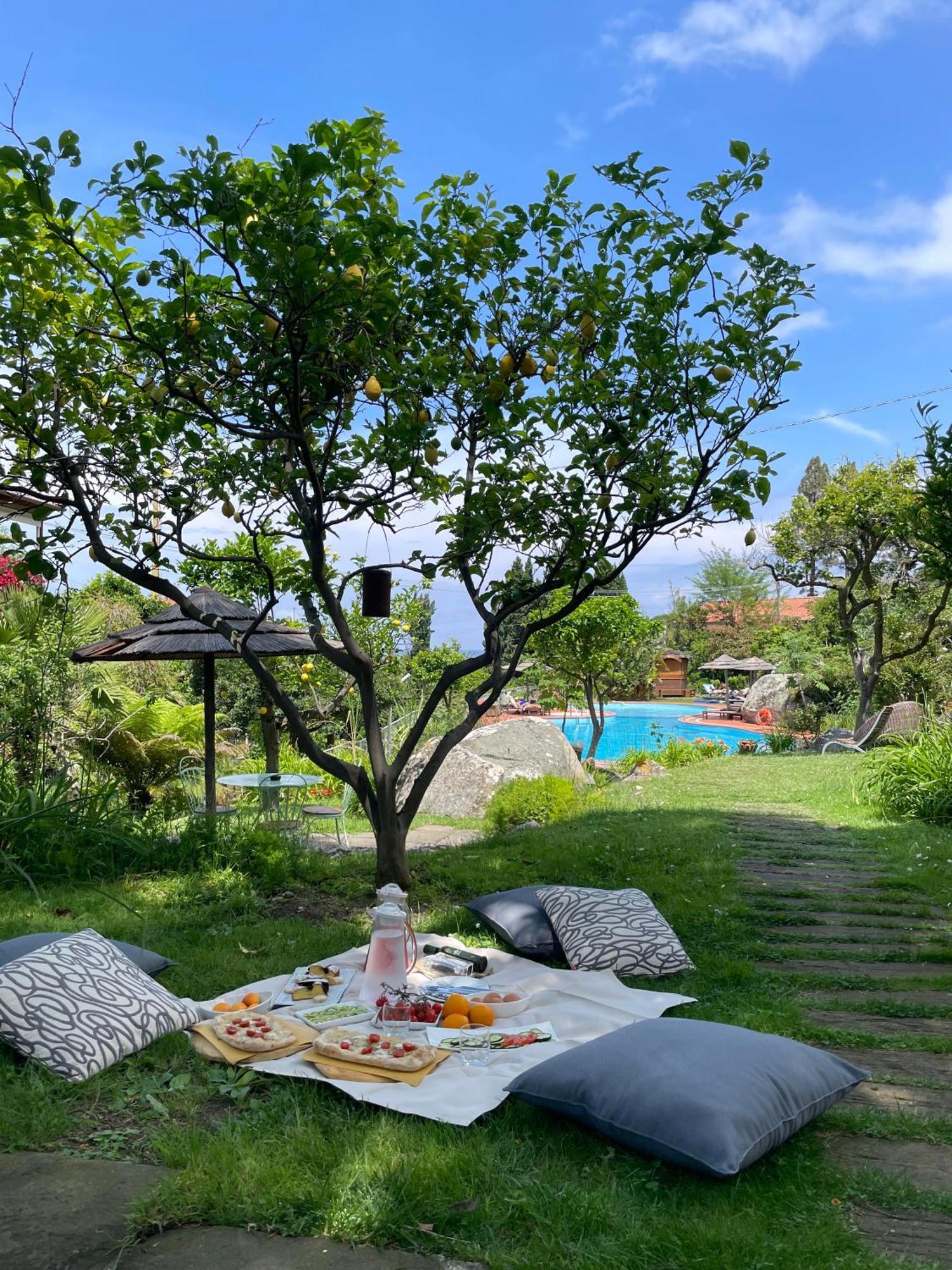 Hotel Cernia Isola Botanica SantʼAndrea 외부 사진